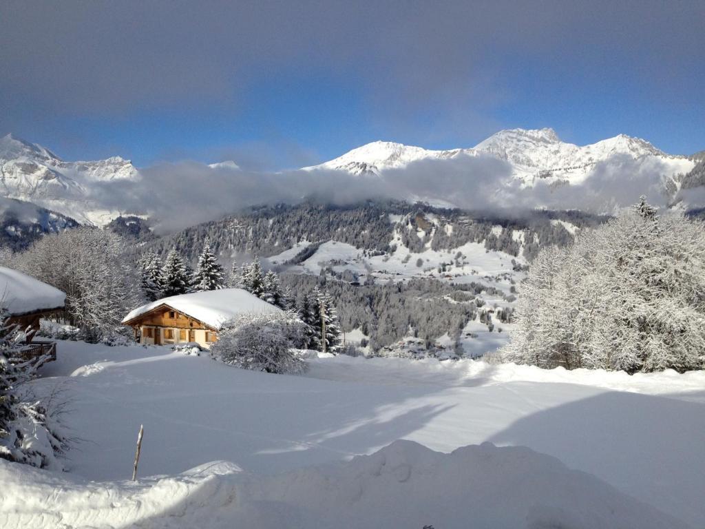 Le Caprice Des Neiges Hotel เครส์-โวล็องด์ ภายนอก รูปภาพ