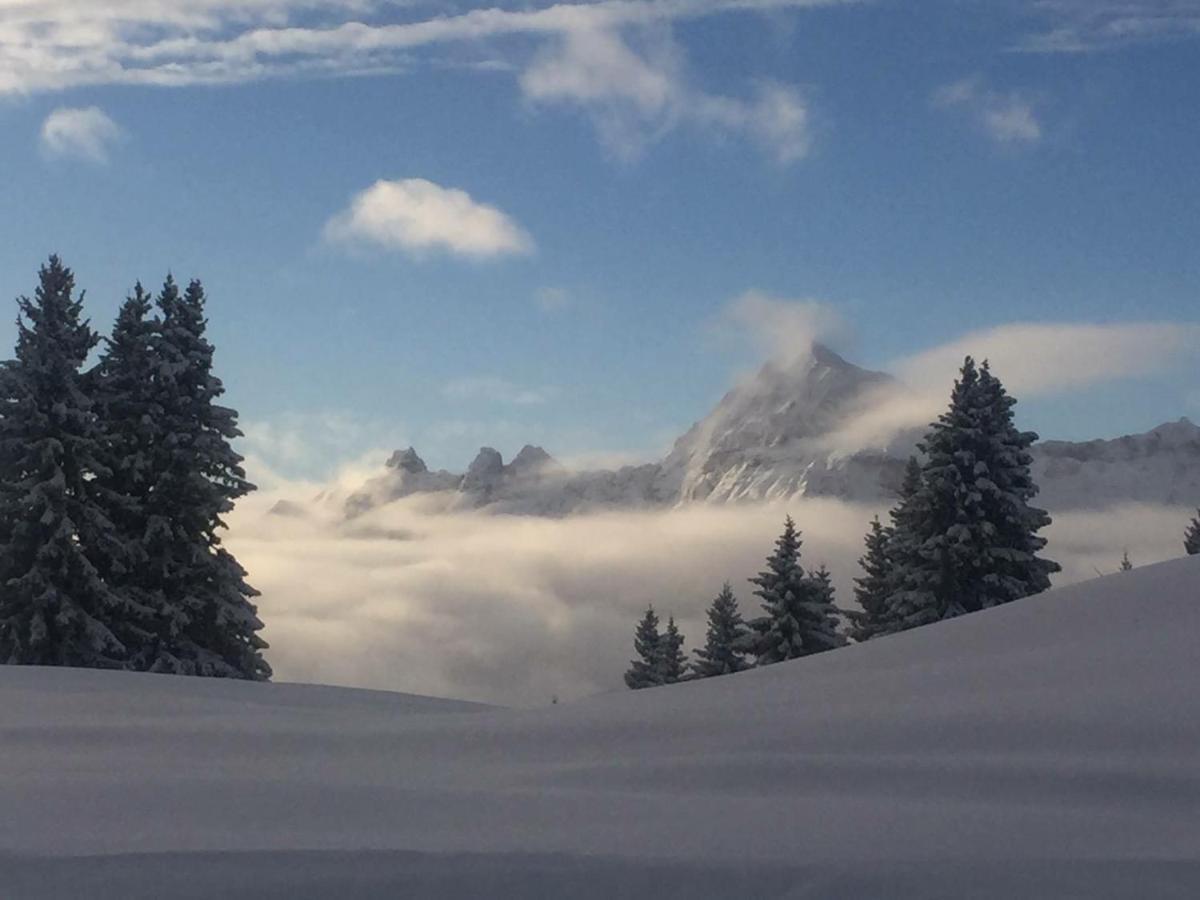 Le Caprice Des Neiges Hotel เครส์-โวล็องด์ ห้อง รูปภาพ